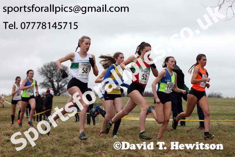 Womens under-17s 2018 Northern Cross Country Champs., Harewood House, Leeds. Photo: David T. Hewitson/Sports for All Pics